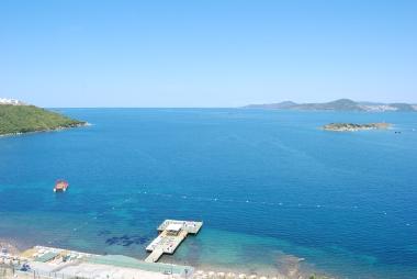 Flamingo Country Club Views