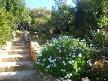 Holiday Apartment in solanas (Cagliari) or holiday homes and vacation rentals