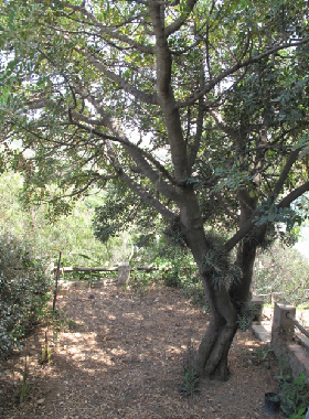 Holiday House in Torre delle Stelle (Cagliari) or holiday homes and vacation rentals