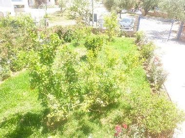 Holiday House in ksamil (Sarande) or holiday homes and vacation rentals