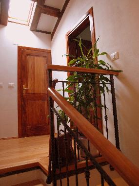 Bed and Breakfast in Krasica, Buje (Istarska) or holiday homes and vacation rentals
