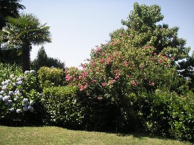 Holiday House in Brezzo di Bedero (Varese) or holiday homes and vacation rentals
