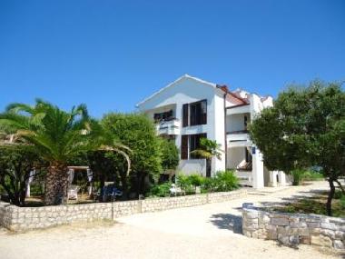 Holiday House in Petrcane (Zadarska) or holiday homes and vacation rentals