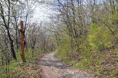 Holiday House in Ojcw (Malopolskie) or holiday homes and vacation rentals