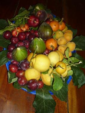 Sicilian fruits