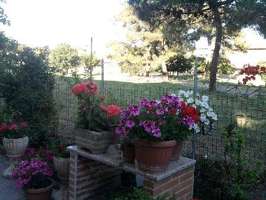 Holiday House in Borgata Aurelia (Roma) or holiday homes and vacation rentals
