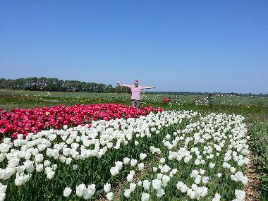Holiday House in Egmond aan den Hoef (Noord-Holland) or holiday homes and vacation rentals