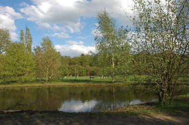 Holiday House in BRUGES (Flanders) or holiday homes and vacation rentals