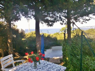 sea view garden