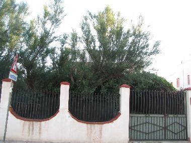 Villa in Isola delle Femmine (Palermo) or holiday homes and vacation rentals