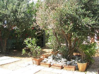 Villa in Isola delle Femmine (Palermo) or holiday homes and vacation rentals