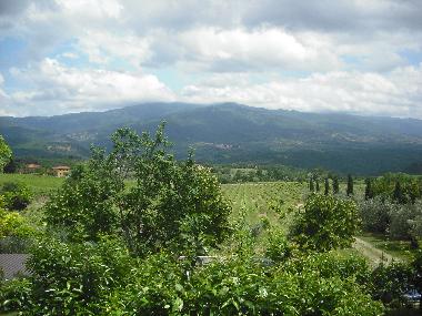 view from living room window