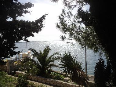 Holiday Apartment in Pag , Mandre (Zadarska) or holiday homes and vacation rentals