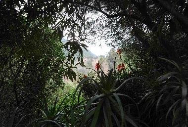 Holiday Apartment in Porto Ota (Corse-du-Sud) or holiday homes and vacation rentals