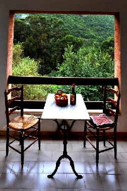 Holiday Apartment in Porto Ota (Corse-du-Sud) or holiday homes and vacation rentals