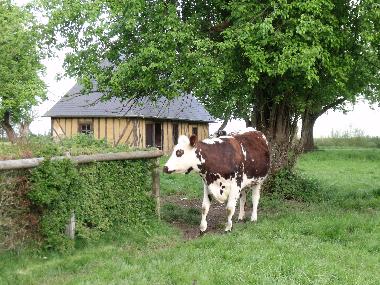 Holiday House in Saint Aubin de Bonneval (Orne) or holiday homes and vacation rentals