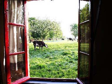 Holiday House in Saint Aubin de Bonneval (Orne) or holiday homes and vacation rentals