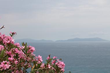 Holiday Apartment in Gioiosa Marea (Messina) or holiday homes and vacation rentals