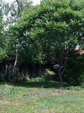 Holiday House in gy�k�nyes (Somogy) or holiday homes and vacation rentals