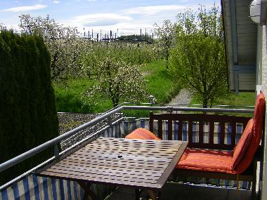 Holiday Apartment in Meckenbeuren (Lake of Constance) or holiday homes and vacation rentals