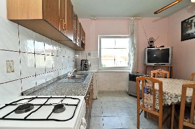 Holiday Apartment in Vir (Zadarska) or holiday homes and vacation rentals