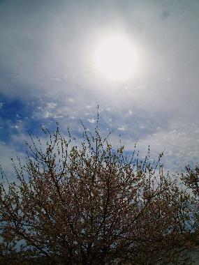 Holiday House in SYROS (Kyklades) or holiday homes and vacation rentals