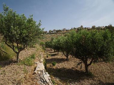 Holiday House in SYROS (Kyklades) or holiday homes and vacation rentals