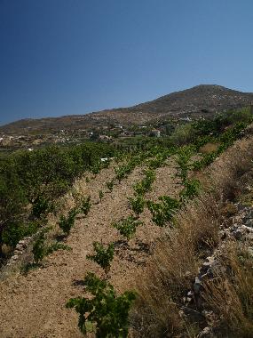 Holiday House in SYROS (Kyklades) or holiday homes and vacation rentals