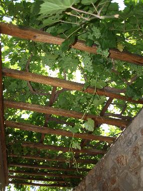 Holiday House in SYROS (Kyklades) or holiday homes and vacation rentals