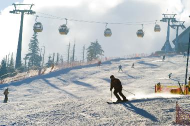 Villa in Bad Flinsberg (Dolnoslaskie) or holiday homes and vacation rentals