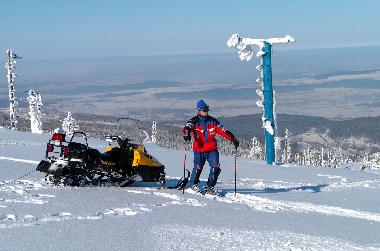 Villa in Bad Flinsberg (Dolnoslaskie) or holiday homes and vacation rentals