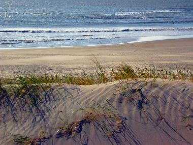 Holiday House in Julianadorp aan zee (Noord-Holland) or holiday homes and vacation rentals