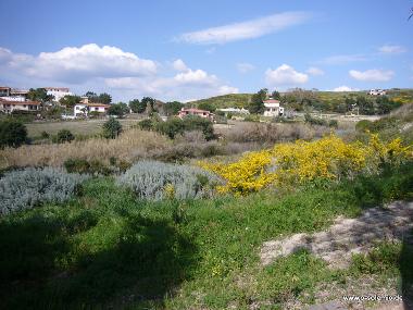 Villa in Porto Alabe (Oristano) or holiday homes and vacation rentals