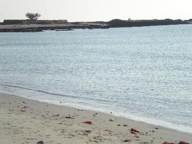 Holiday House in sarzeau (Morbihan) or holiday homes and vacation rentals