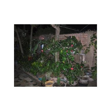 Holiday House in lom� (Notse) or holiday homes and vacation rentals