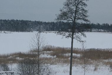 This is actually a picture taken when 7 elks was passing the lake on the ice.