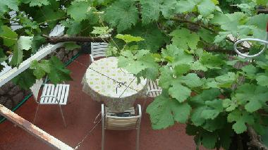 Holiday House in Rijeka Rezevici (Montenegro) or holiday homes and vacation rentals