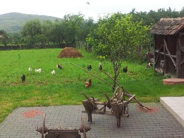 view of the garden from the balcony