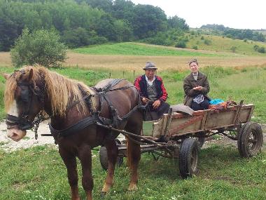 Can walk with a horse and wagon in the woods near the house