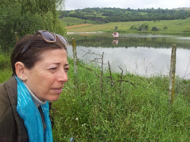 Lake near the house the way toward the city