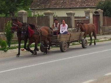 Holiday House in sancel (Sibiu) or holiday homes and vacation rentals
