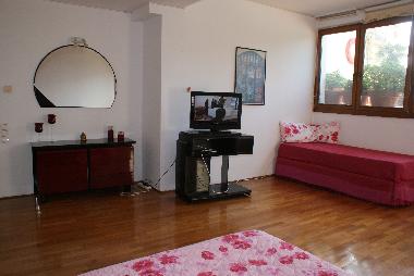 Villa in Athens  (Attiki) or holiday homes and vacation rentals