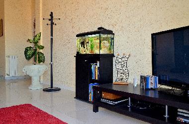 Bed and Breakfast in Catania (Catania) or holiday homes and vacation rentals