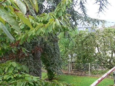 Holiday House in TROUVILLE sur mer (Calvados) or holiday homes and vacation rentals