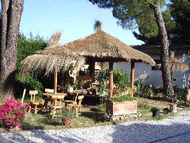 Bed and Breakfast in Collesalvetti - Crocino (Livorno) or holiday homes and vacation rentals