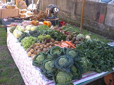 Bed and Breakfast in Collesalvetti - Crocino (Livorno) or holiday homes and vacation rentals