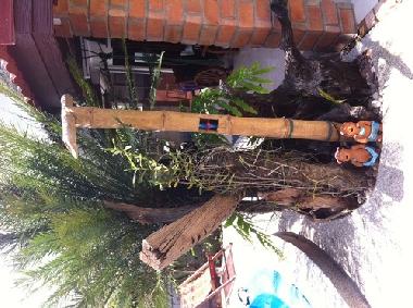 Holiday House in Aonang (Krabi) or holiday homes and vacation rentals
