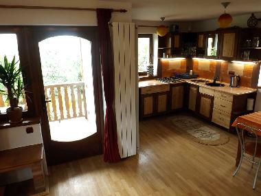 Casa Zollo - kitchen in the living (Casa Vale, Transylvania)