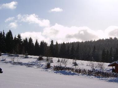 Holiday Apartment in Vesser (Thuringian forest) or holiday homes and vacation rentals