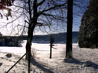Holiday Apartment in Vesser (Thuringian forest) or holiday homes and vacation rentals